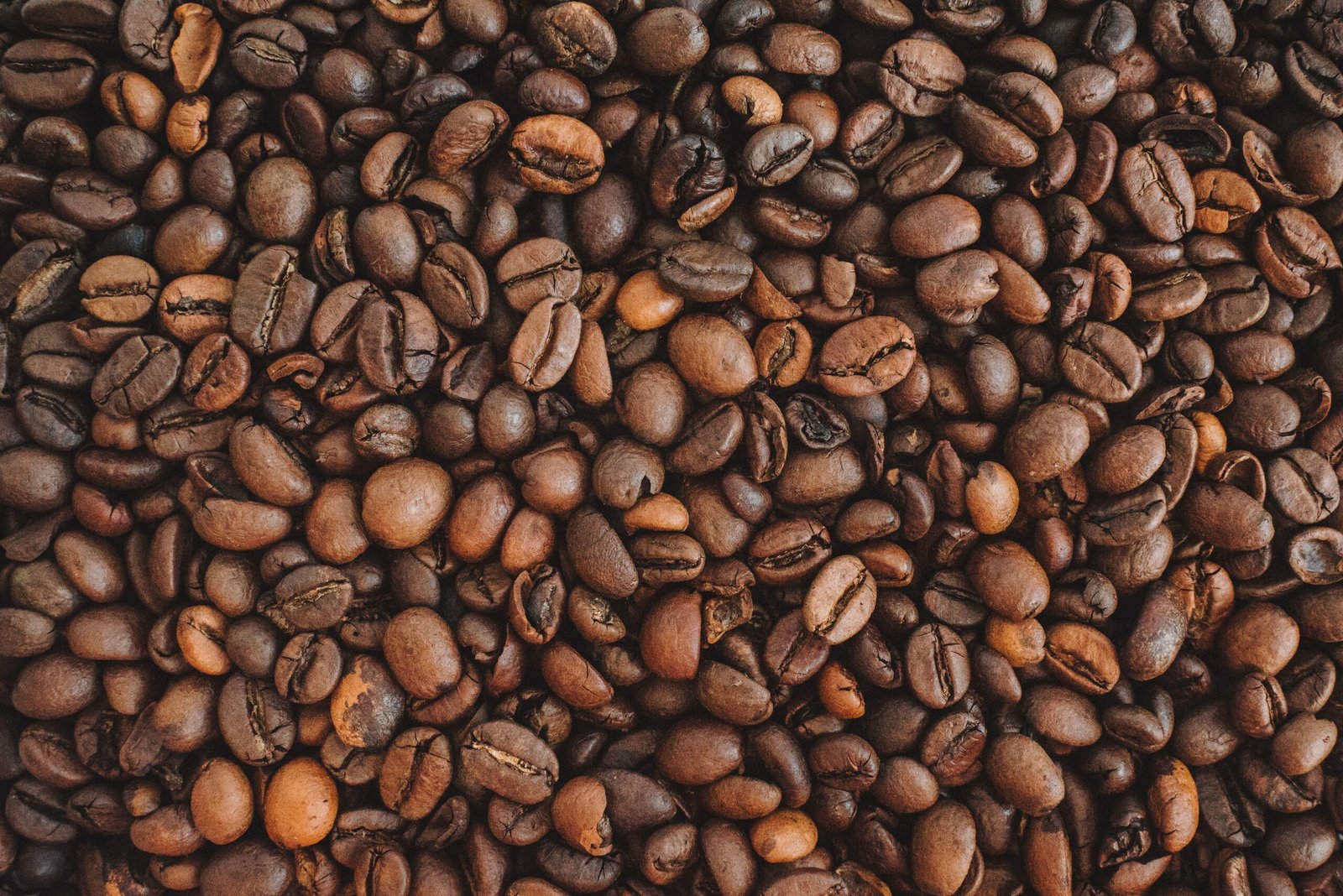 Building a Community of Coffee Lovers through Direct Trade
